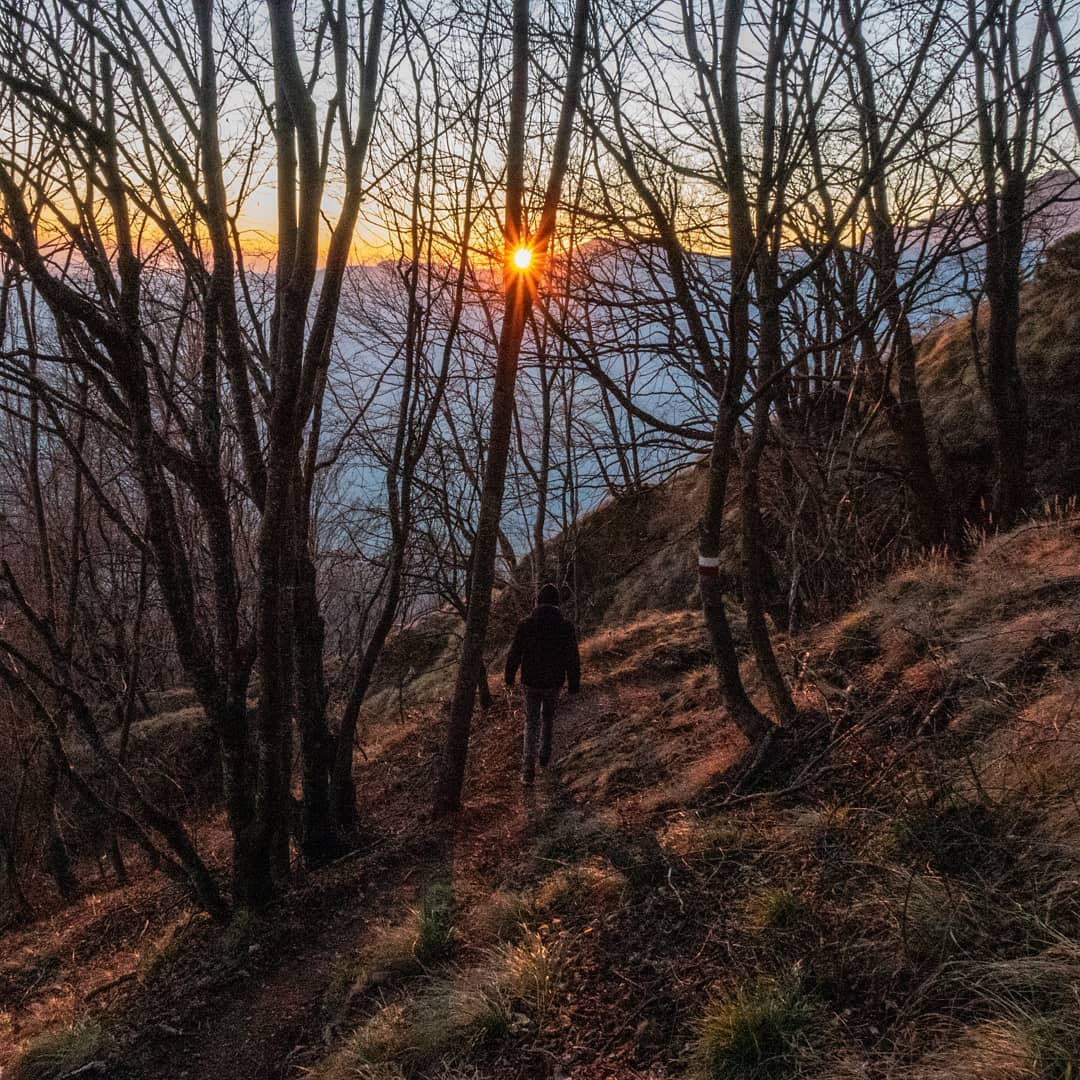 a person walking on a trail with trees and a body of water in the background